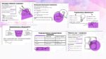 Ключевые типы мышления в психологии